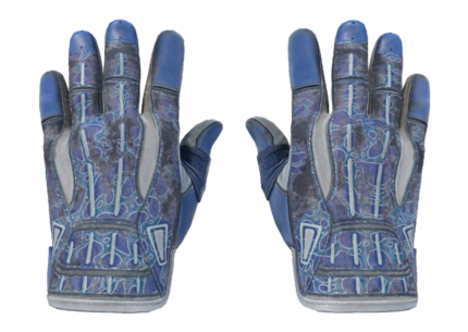 Sport Gloves | Amphibious (Battle-Scarred)
