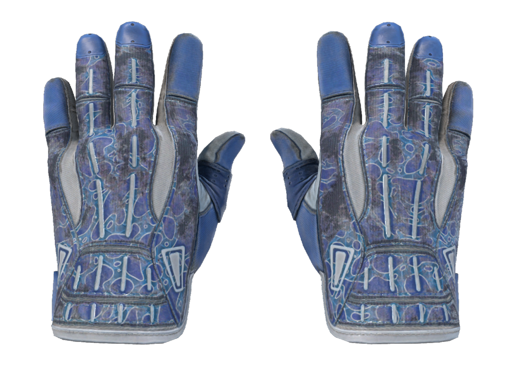 Sport Gloves | Amphibious (Battle-Scarred)