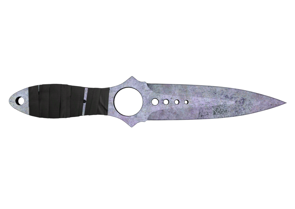 Skeleton Knife | Blue Steel (Well-Worn)