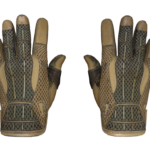 Sport Gloves | Arid (Well-Worn)