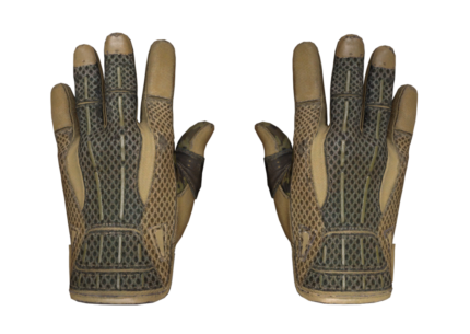 Sport Gloves | Arid (Well-Worn)