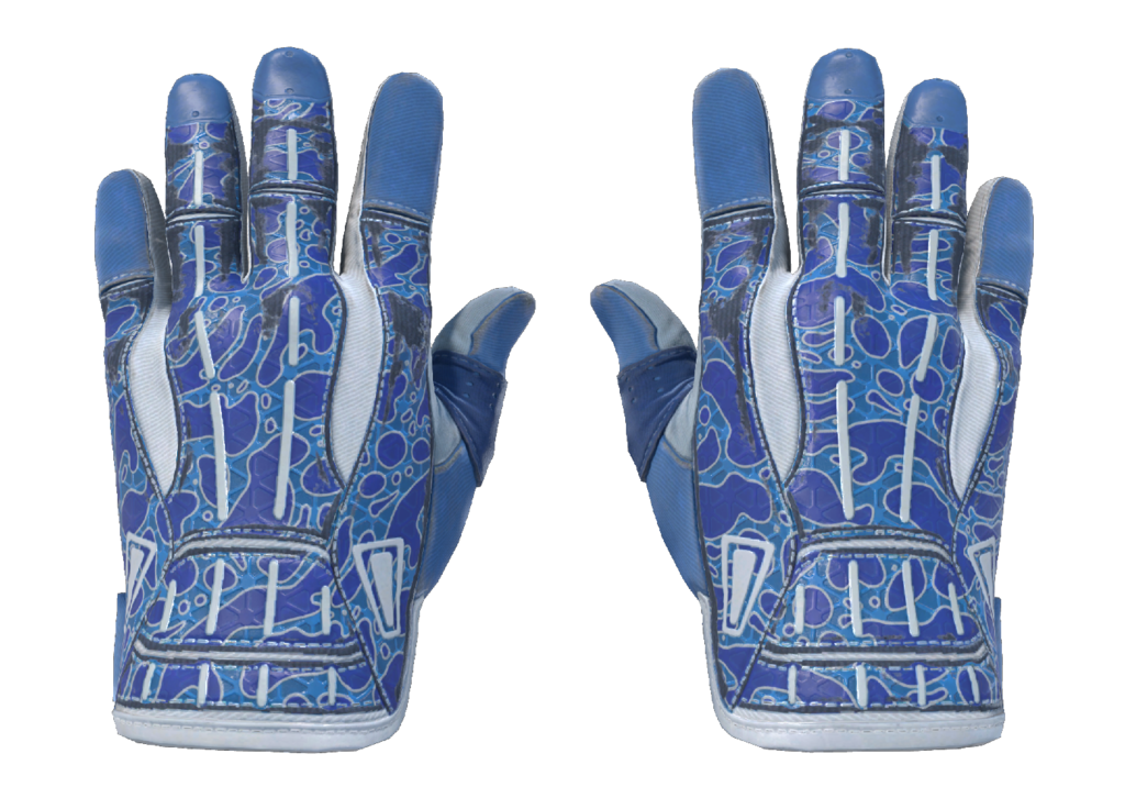 Sport Gloves | Amphibious (Minimal Wear)