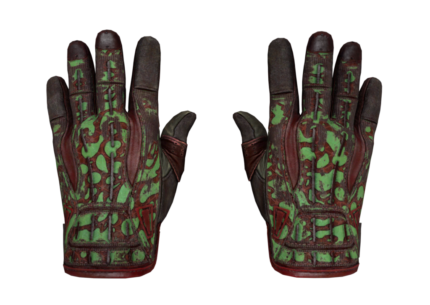 Sport Gloves | Bronze Morph (Battle-Scarred)