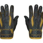 Sport Gloves | Omega (Field-Tested)