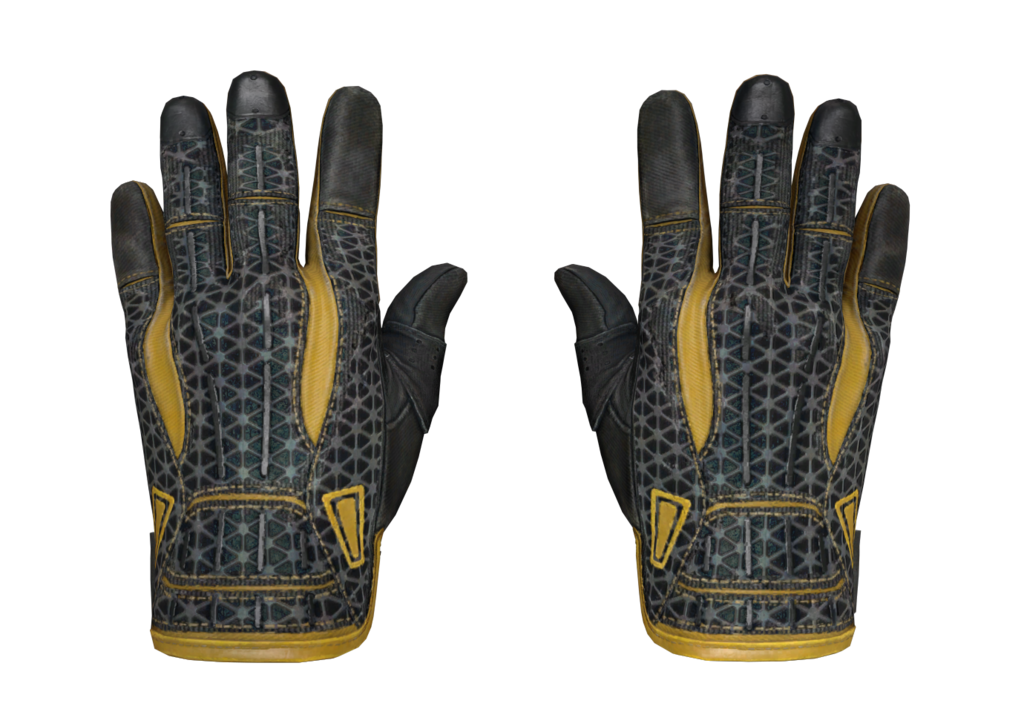 Sport Gloves | Omega (Field-Tested)
