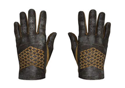 Driver Gloves | Overtake (Battle-Scarred)