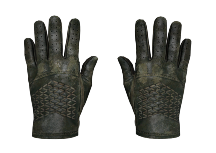 Driver Gloves | Racing Green (Battle-Scarred)