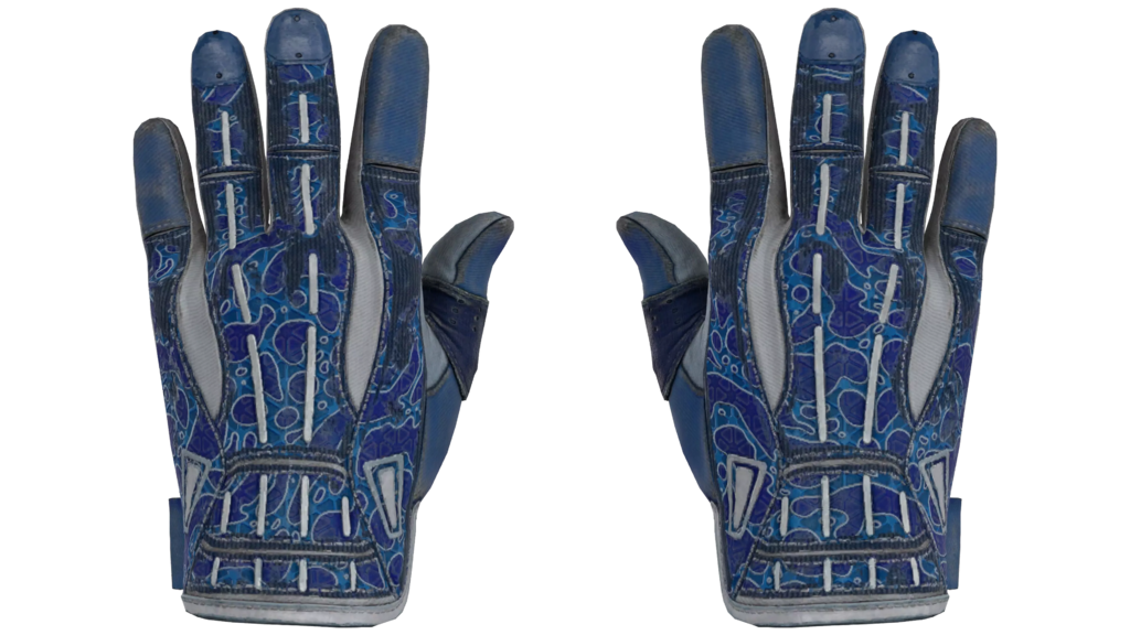 Sport Gloves | Amphibious (Well-Worn)