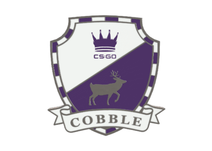 Cobblestone Pin