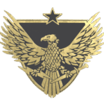 Brigadier General Pin