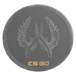 Guardian Elite Pin