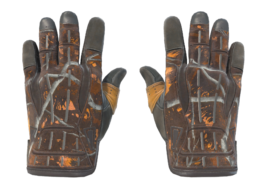 Sport Gloves | Big Game (Field-Tested)