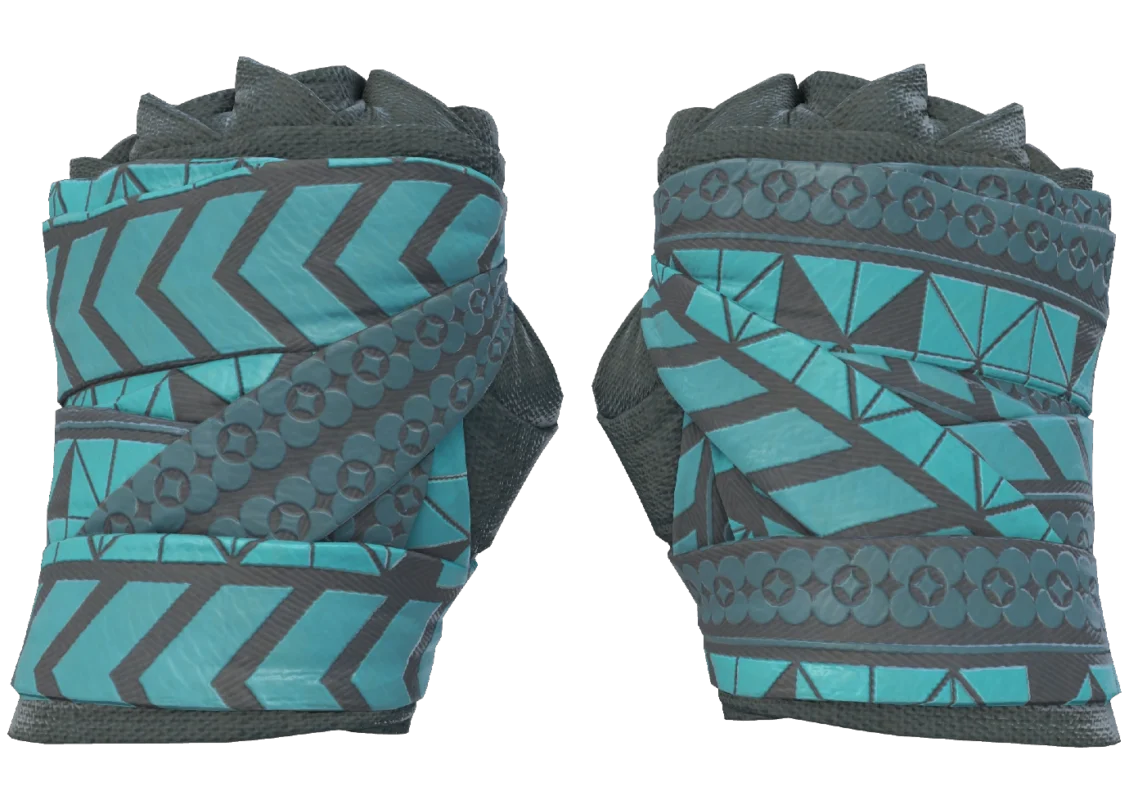 Hand Wraps | Overprint (Minimal Wear)