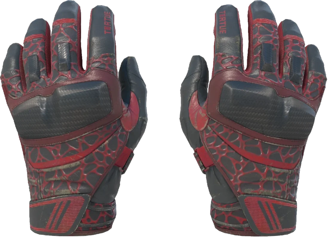 Moto Gloves | Blood Pressure (Field-Tested)