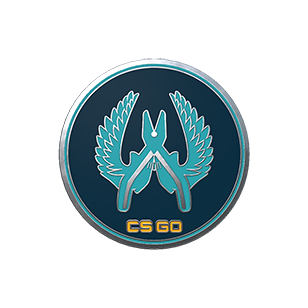 Guardian Pin