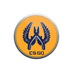 Guardian 2 Pin