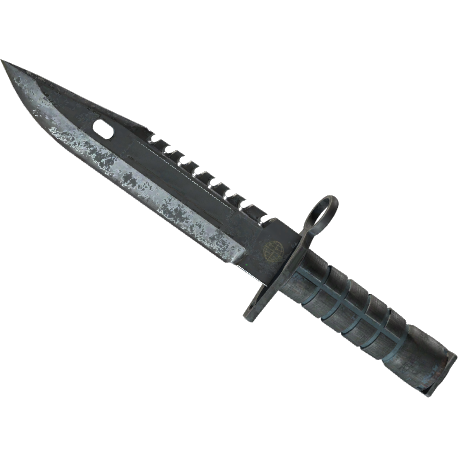 M9 Bayonet | Night (Battle-Scarred)