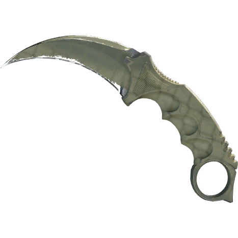 65f80a87f6a50d79a5f86d5bZIzLBx3j05.png Karambit | Safari Mesh (Well-Worn) - Imagem 1