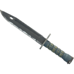 Bayonet | Night (Field-Tested)