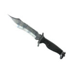 Bowie Knife | Stained (Field-Tested)