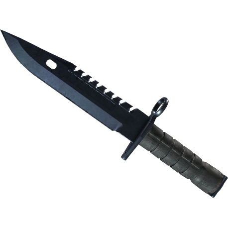 M9 Bayonet | Blue Steel (Minimal Wear)