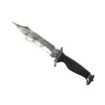 Bowie Knife | Stained (Battle-Scarred)