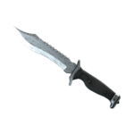 Bowie Knife | Damascus Steel (Minimal Wear)