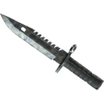 M9 Bayonet | Stained (Well-Worn)