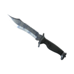 Bowie Knife | Stained (Minimal Wear)