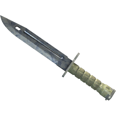 Bayonet | Stained (Factory New)