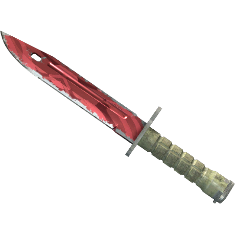 Bayonet | Slaughter (Field-Tested)