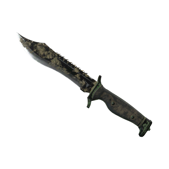 Bowie Knife | Forest DDPAT (Battle-Scarred)