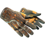 Sport Gloves | Big Game (Well-Worn)