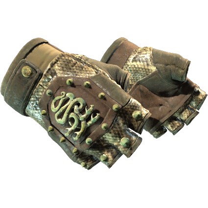 65f819caf914db46b75ea2763V1pAuG505.png Hydra Gloves | Rattler (Well-Worn) - Imagem 1