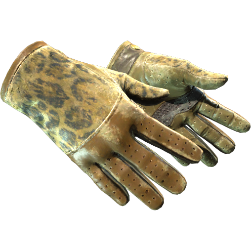 65f81a19e7c0b2ac5dae70caOZPoLomp05.png Driver Gloves | Queen Jaguar (Battle-Scarred) - Imagem 1