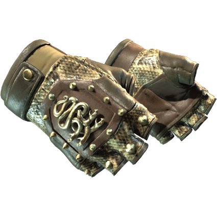65f84a658f1e467178e6225fSbqoSJ7805.png Hydra Gloves | Rattler (Minimal Wear) - Imagem 1