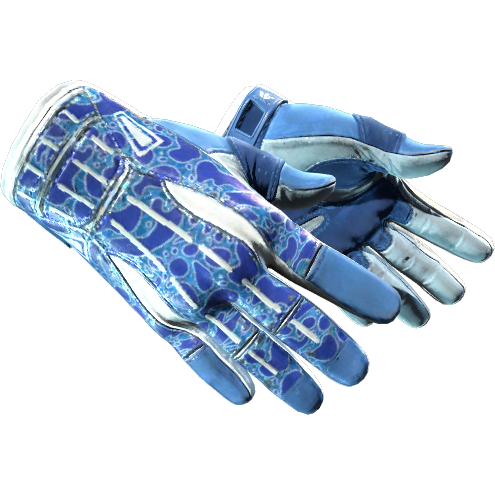 Sport Gloves | Amphibious (Factory New)