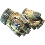 Bloodhound Gloves | Bronzed (Battle-Scarred)