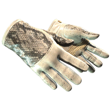 Driver Gloves | King Snake (Factory New)