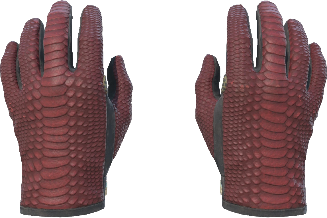 Driver Gloves | Dragon Fists (Minimal Wear)