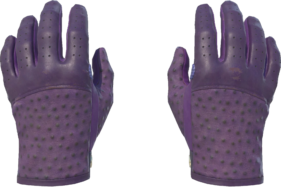 Driver Gloves | Plum Quill (Minimal Wear)